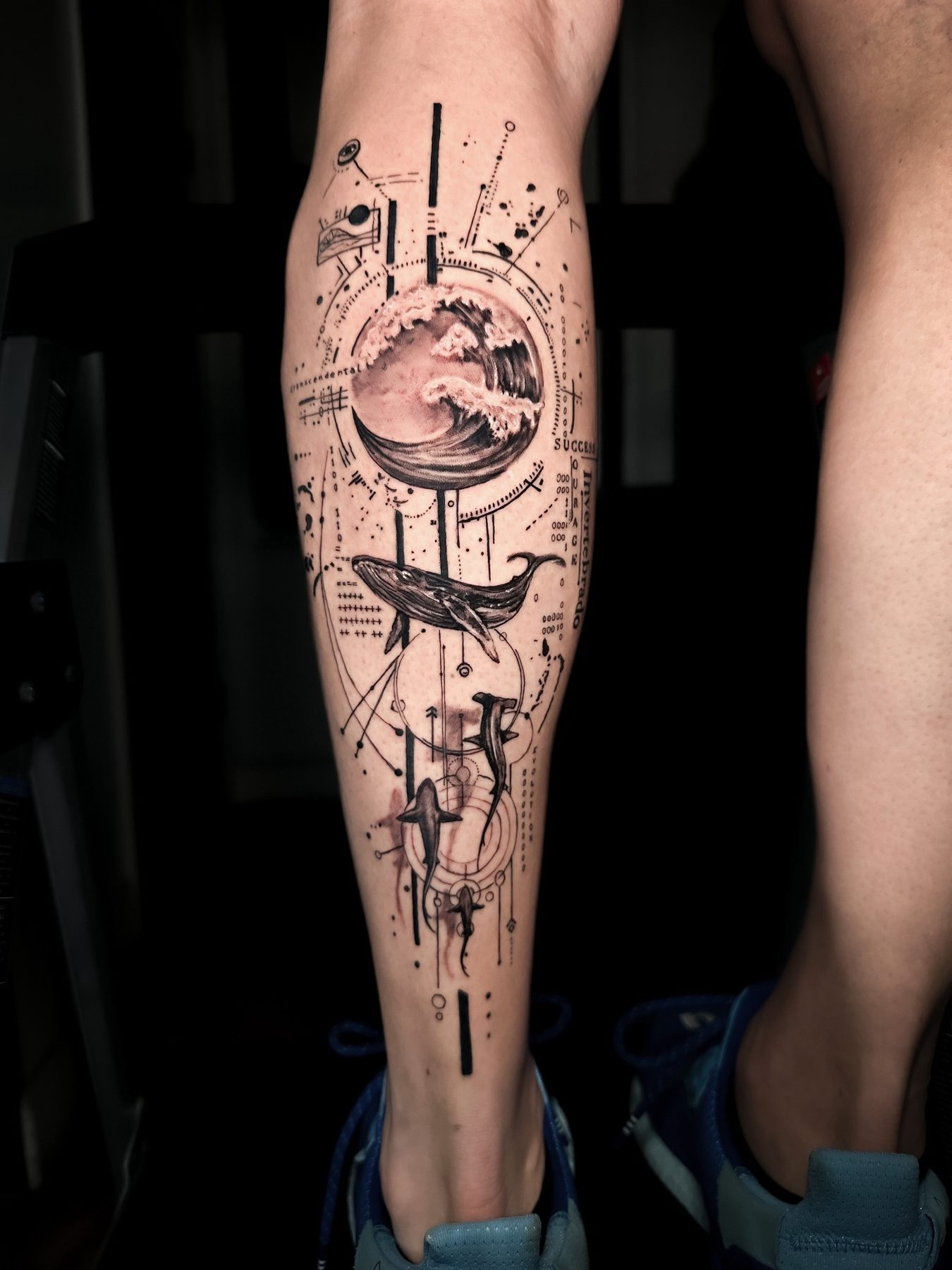fine line 1